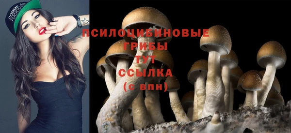 тгк Беломорск