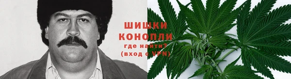 тгк Беломорск