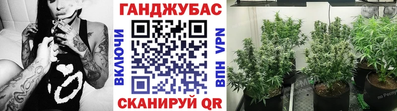 Бошки Шишки планчик  Воткинск 